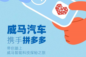 威马汽车官宣入驻拼多多