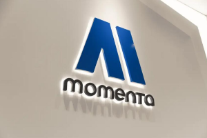 Momenta自研芯片点亮测试