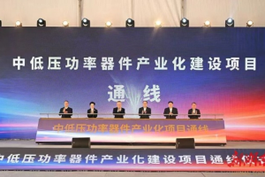 总投资53亿元 株洲中低压功率器件产业化建设项目通线